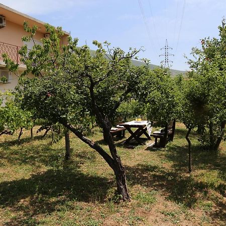 Garden House Apartment Trebinje Zewnętrze zdjęcie